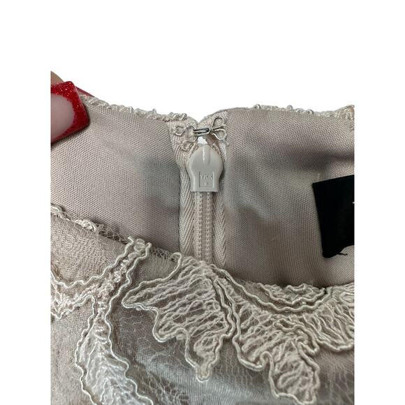 Tadashi Shoji Dress Ivory Latte Pumice Lace Tulle Nomi Formal Evening Size 12 - Picture 9 of 14